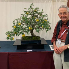 Jack with his Apple Tree at the National Bonsai Exhibition Jack with his Apple Tree at the National Bonsai Exhibition