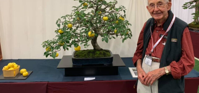 Jack with his Apple Tree at the National Bonsai Exhibition