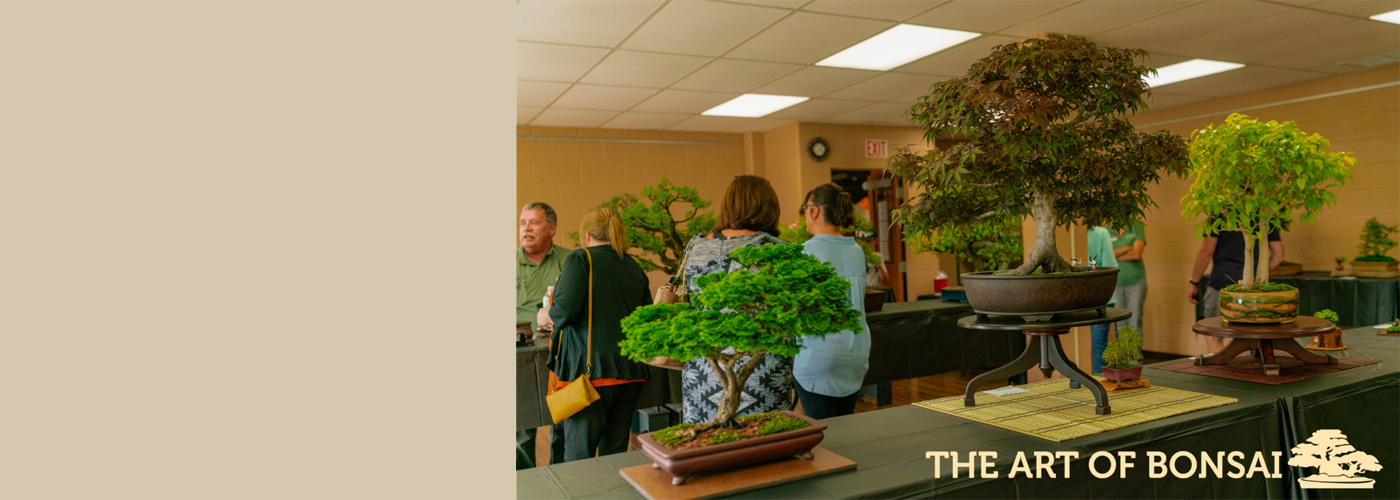 Presenting the annual Art of Bonsai event at Hidden Lake Gardens, July 12, 2025